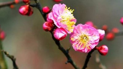 【黄小平作品专辑】《咏钱塘江》