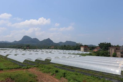 【李文涛作品专辑】《古竹镇乡村振兴示范点》